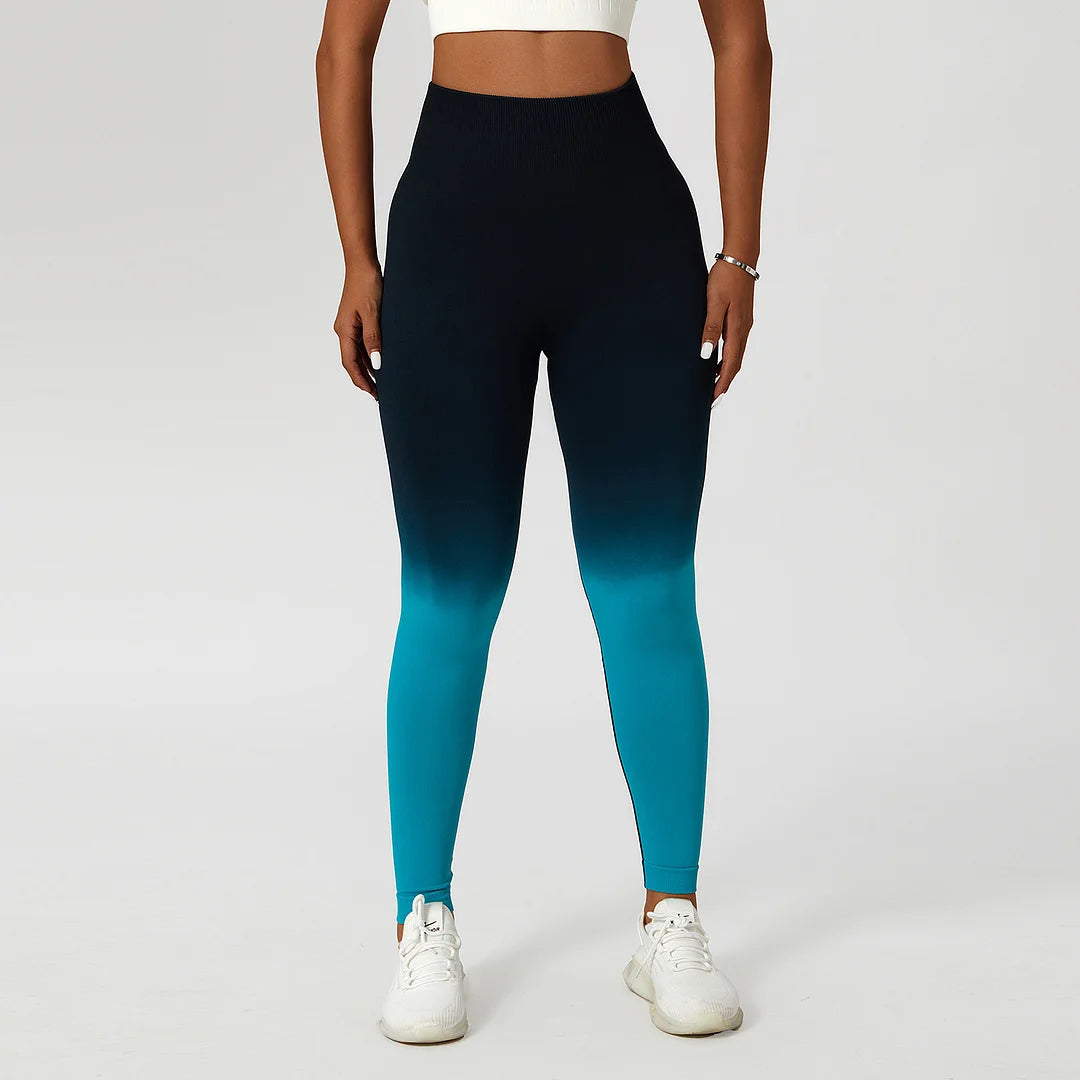 Gradient Seamless legging