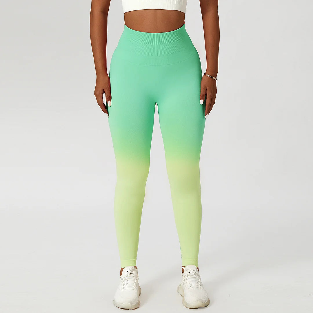 Gradient Seamless legging